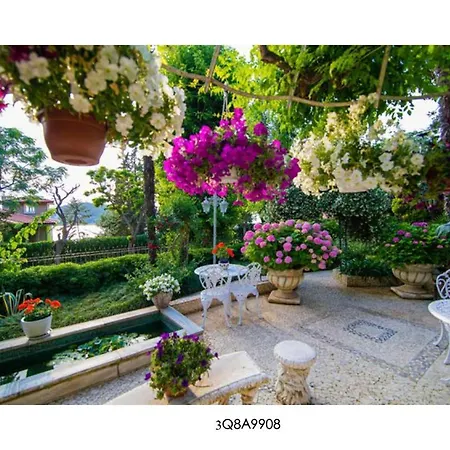 Dream Mansion Ada Adalar