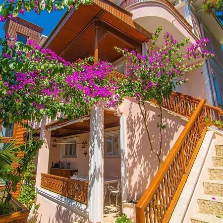 Dream Mansion Ada Maison d'hôtes *